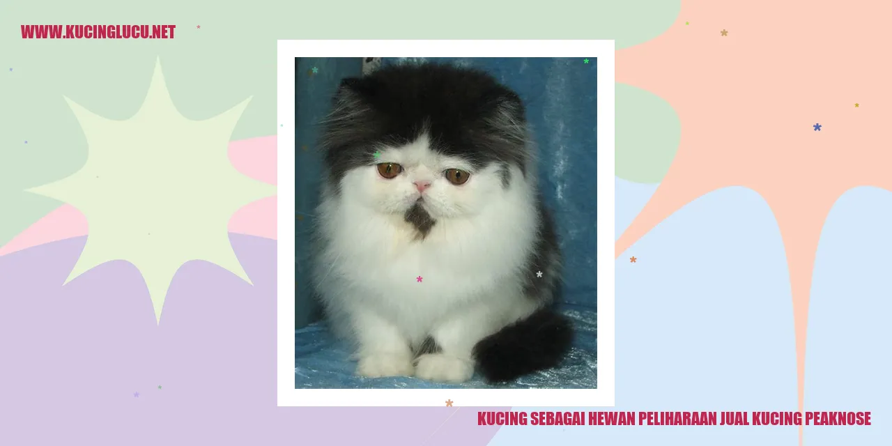 Kucing sebagai Hewan Peliharaan