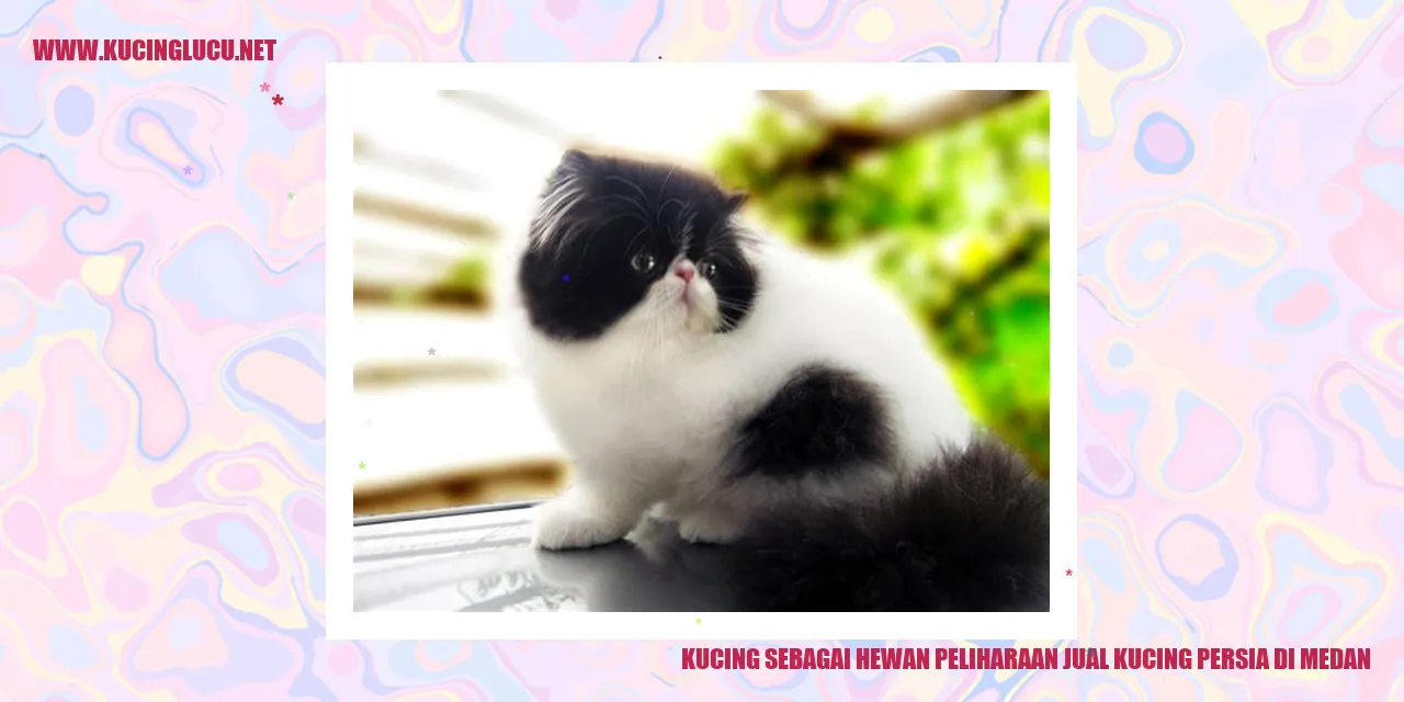 Kucing Sebagai Hewan Peliharaan