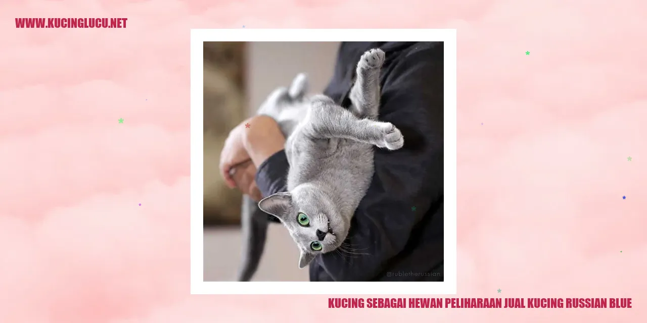 Kucing sebagai Hewan Peliharaan