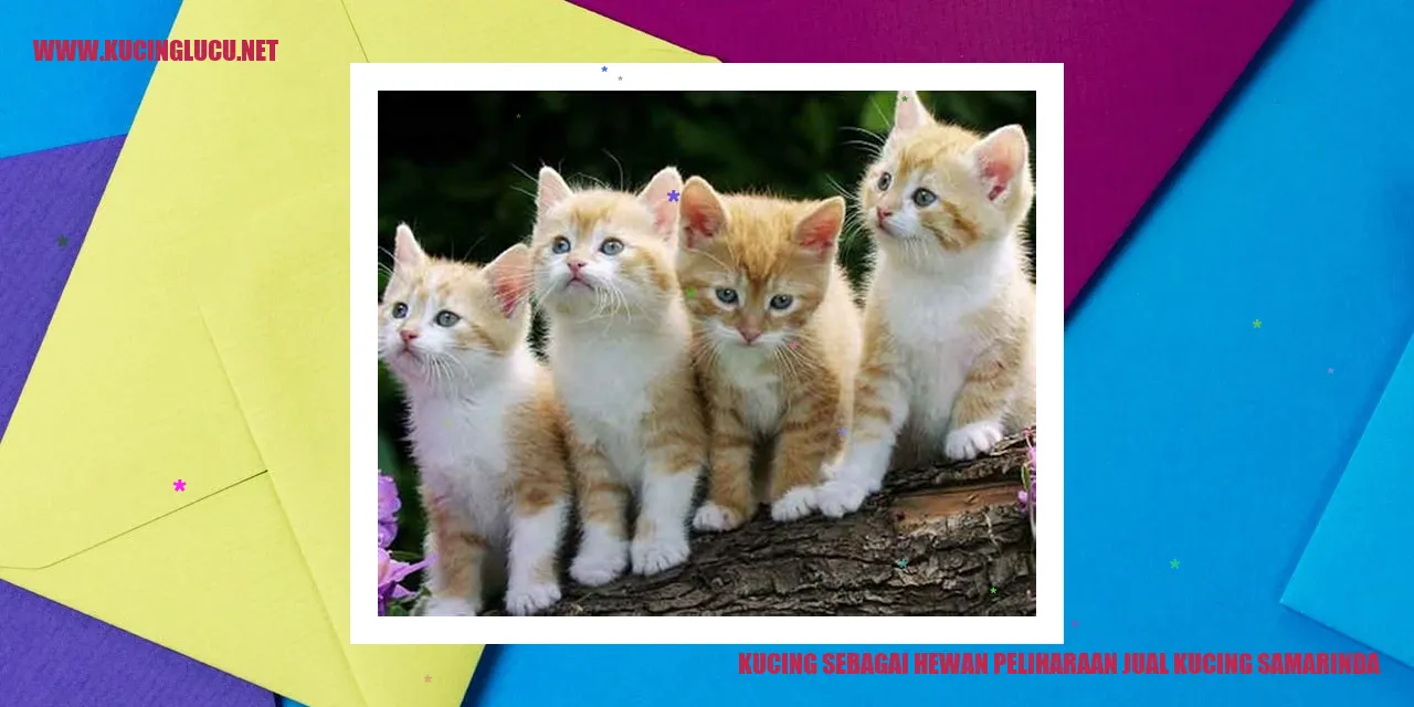 Gambar Kucing sebagai Hewan Peliharaan