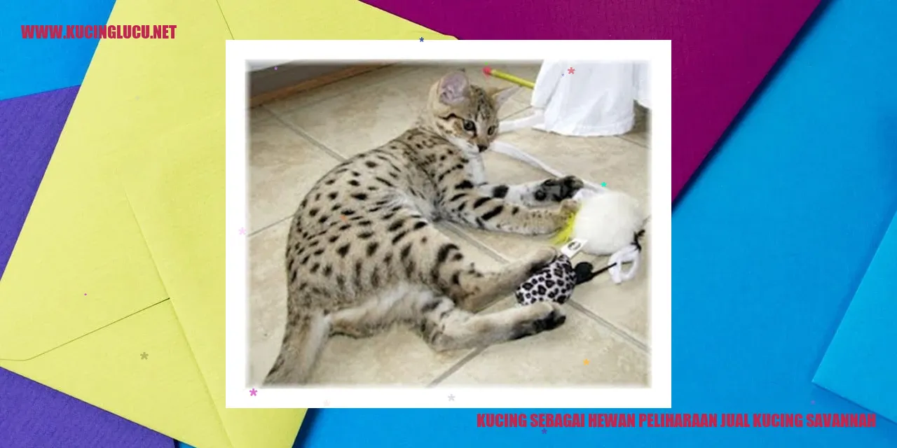 gambar kucing yang menggemaskan