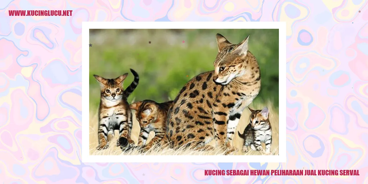 Gambar kucing serval
