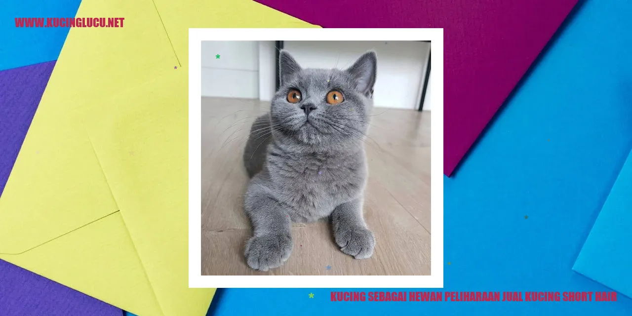 Kucing sebagai Hewan Peliharaan