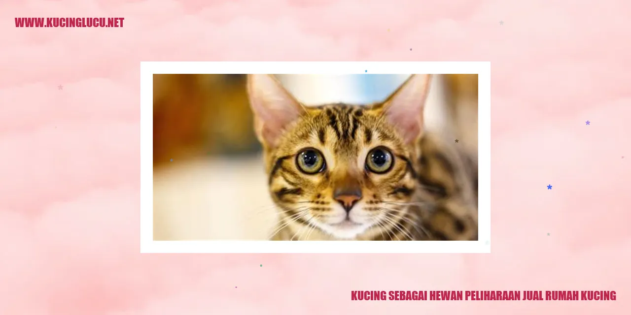 Kucing sebagai Hewan Peliharaan