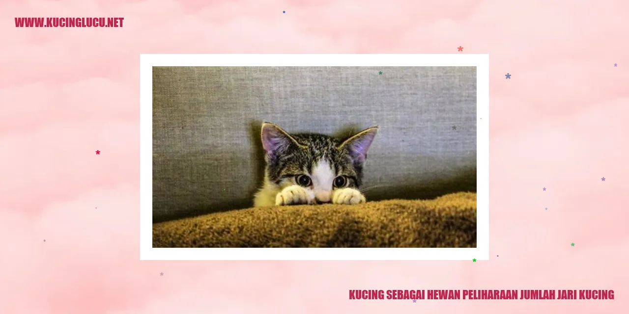 Kucing dengan Jumlah Jari yang Unik