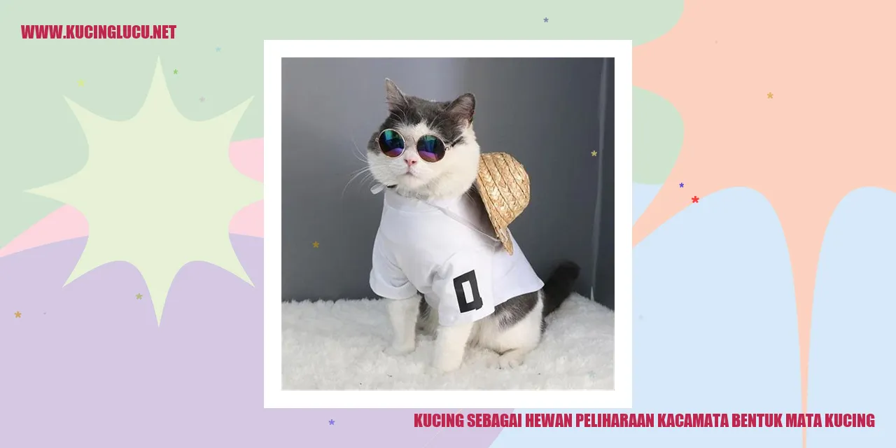 Kucing dengan mata kacamatanya yang menggemaskan