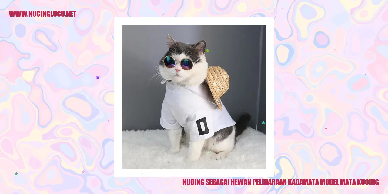 Gambar kucing dengan kacamata model mata kucing