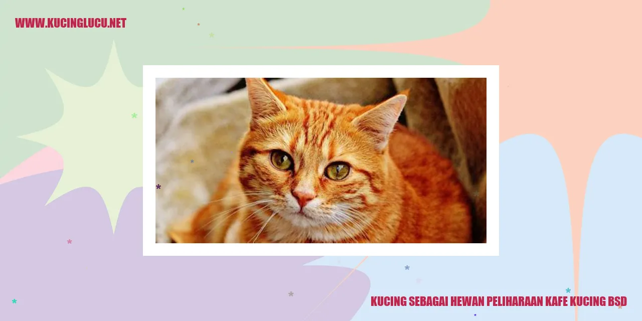 Kucing sebagai Hewan Peliharaan kafe kucing bsd