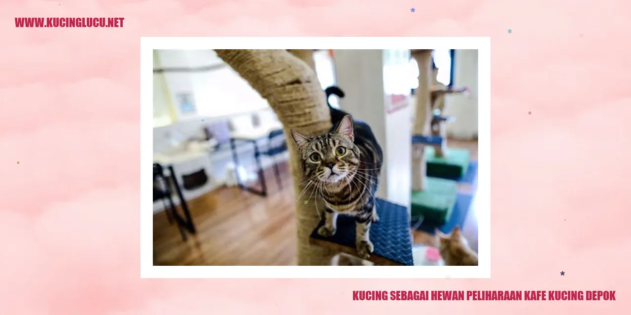 Gambar Kucing yang Menggemaskan