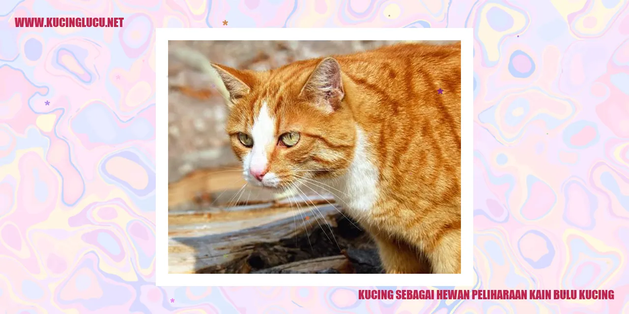 Gambar kucing menggemaskan
