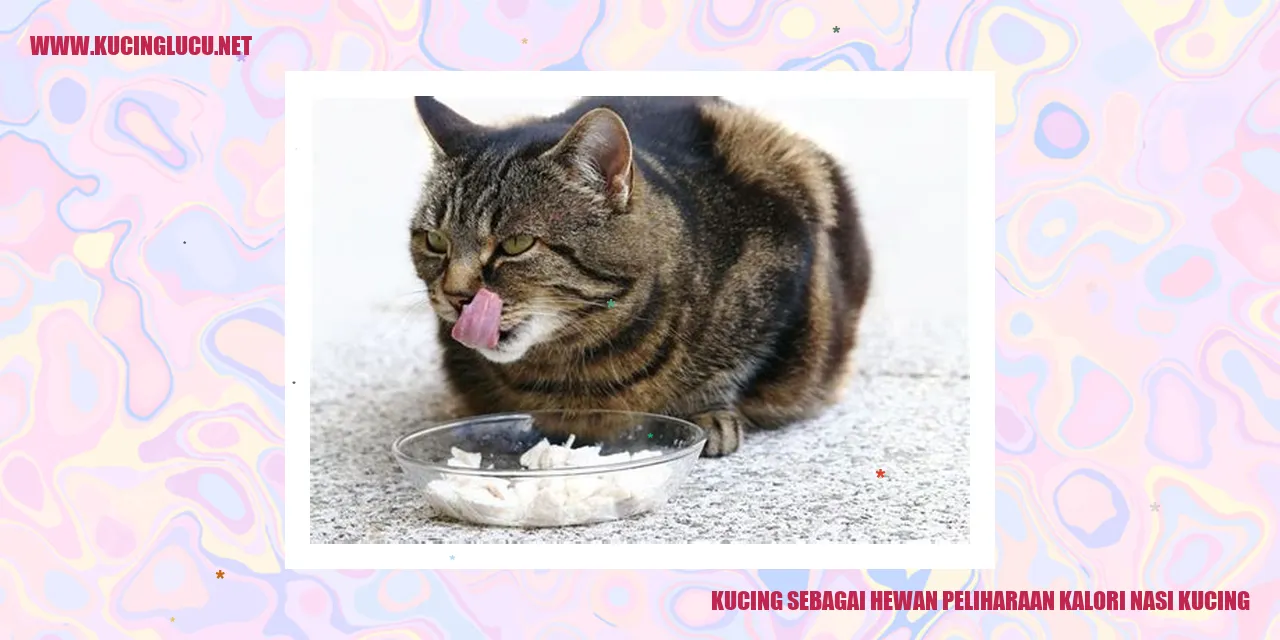 Kucing sebagai Hewan Peliharaan