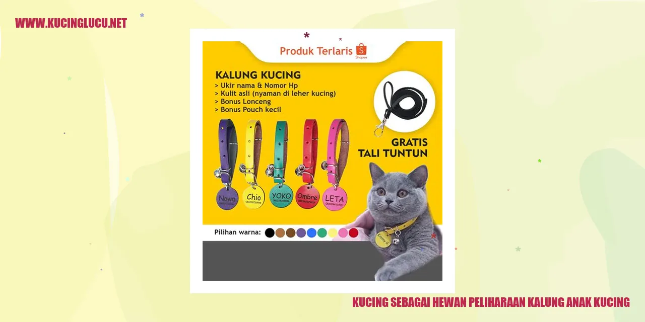 Kucing Menggemaskan