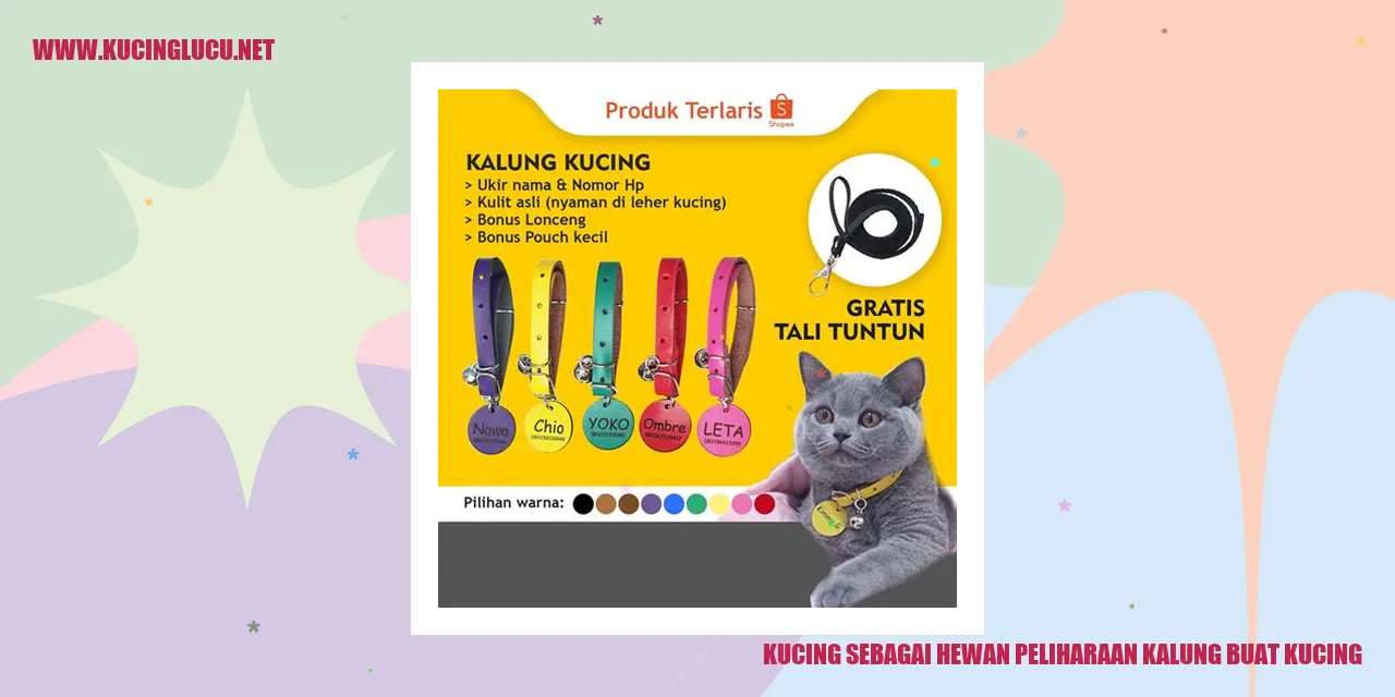 Kucing dengan kalung