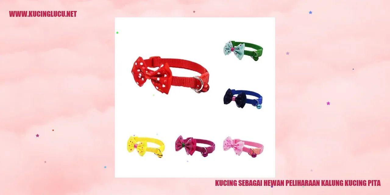 Kucing dengan kalung pita