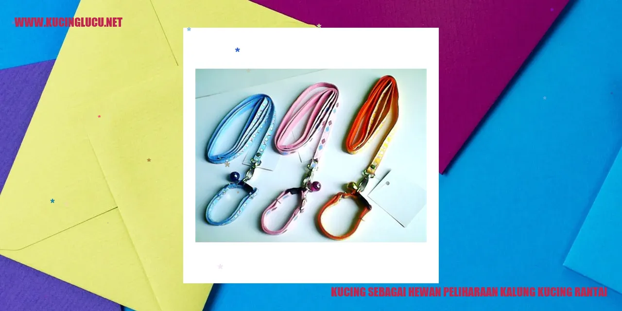 Kucing dengan kalung rantai