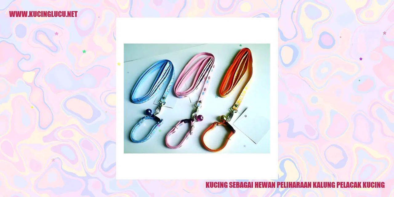 Gambar kucing peliharaan