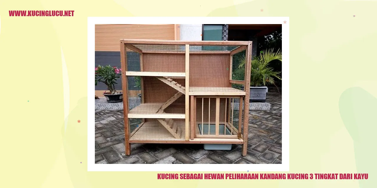 Kandang Kucing 3 Tingkat