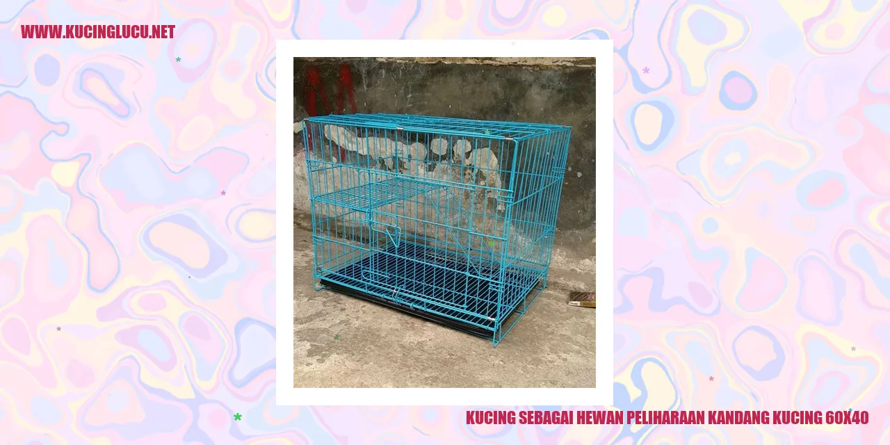 Gambar kucing