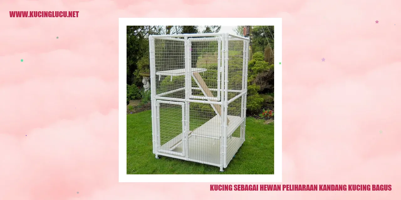 Kucing Peliharaan