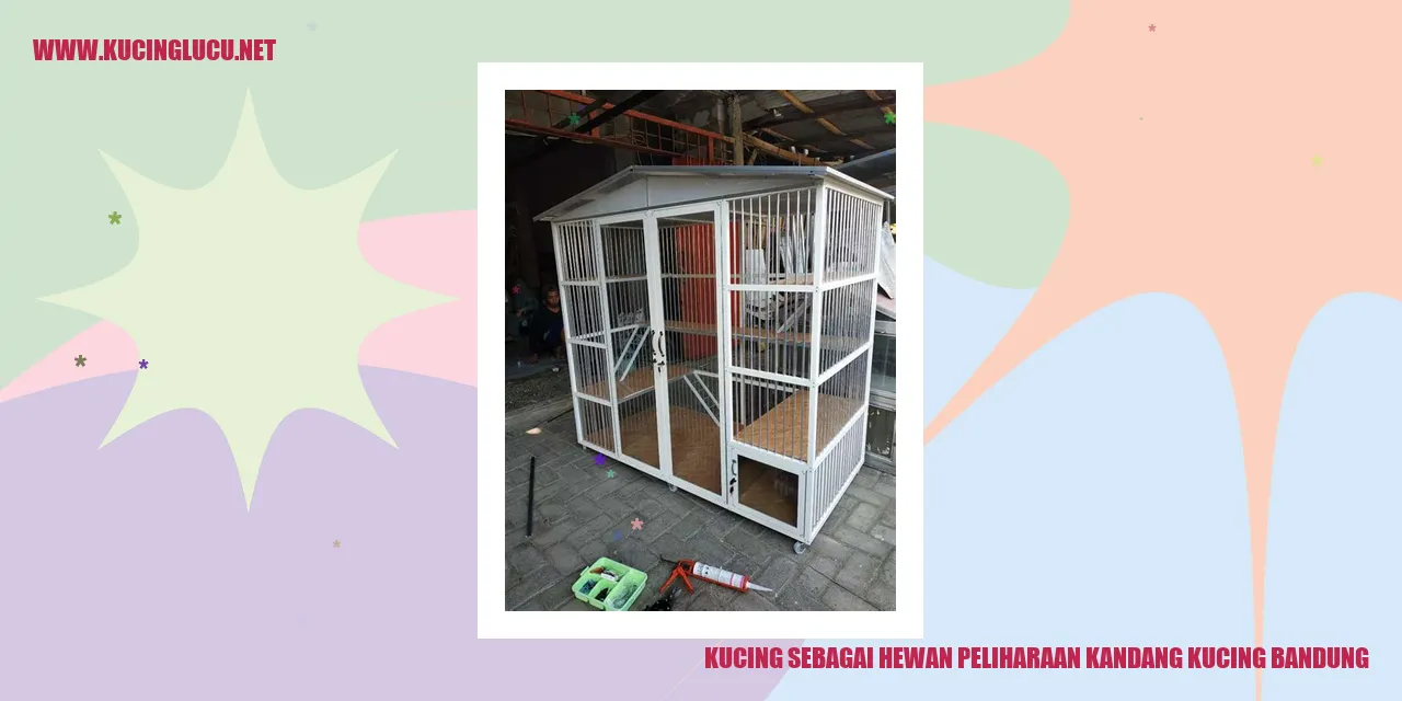 Kucing Peliharaan di Kandang Kucing Bandung
