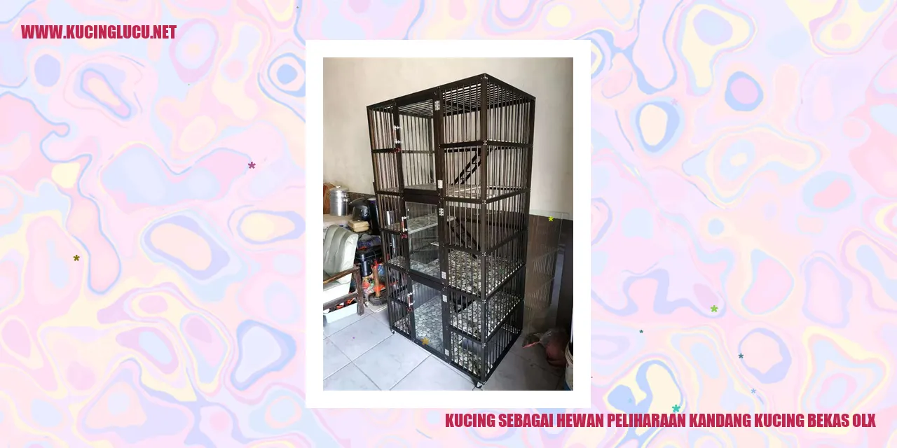 Kucing sebagai Hewan Peliharaan