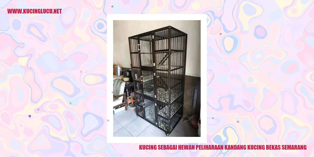 Kucing sebagai Hewan Peliharaan