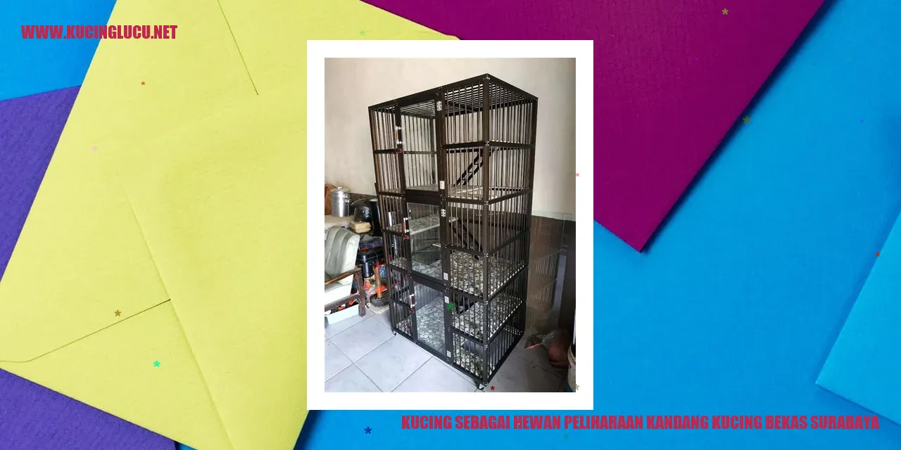 Kucing Sebagai Teman Hati