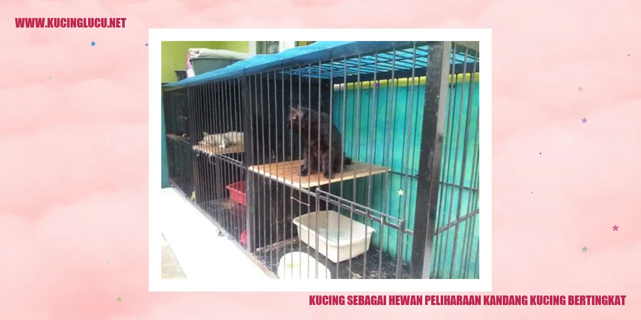 Kucing di dalam kandang