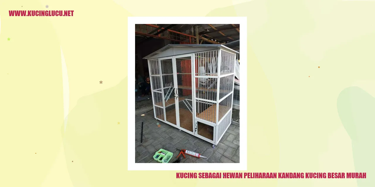 Kucing sebagai Hewan Peliharaan