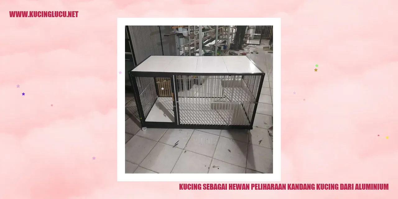 Gambar Kucing sebagai Hewan Peliharaan