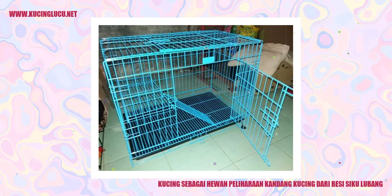 Kucing dalam kandang besi siku lubang