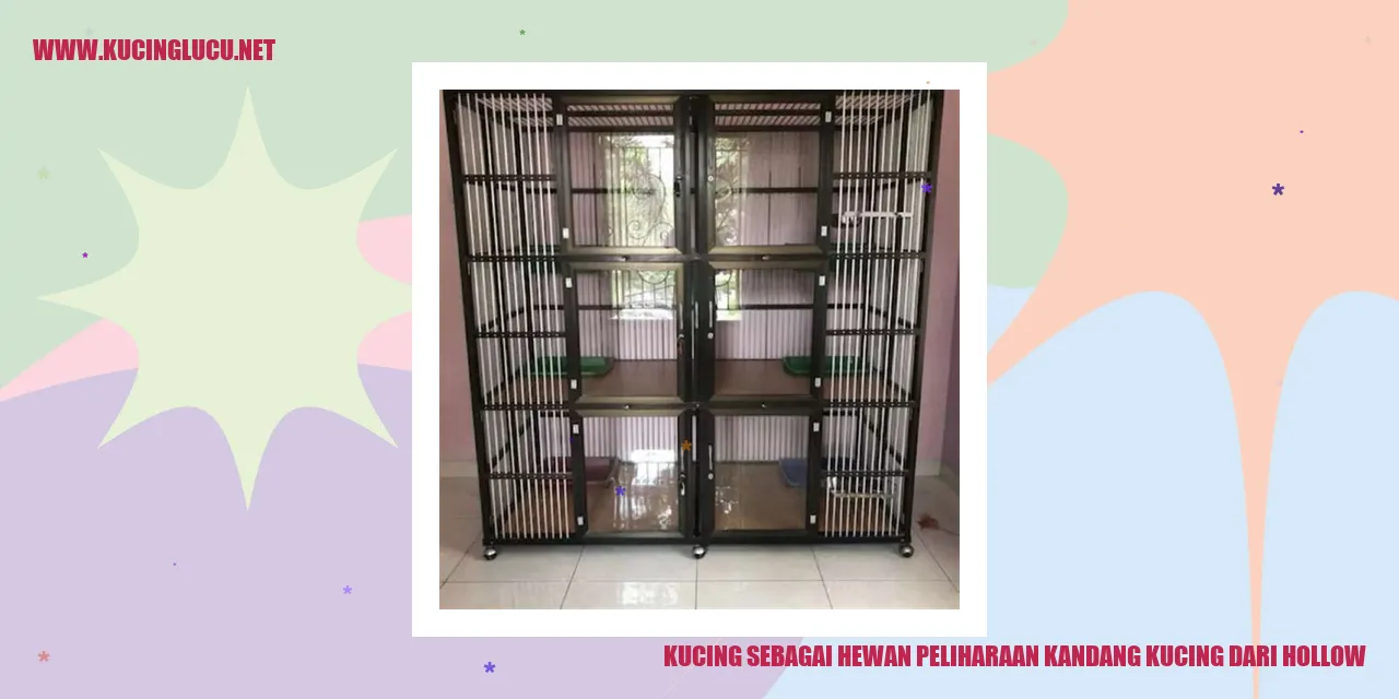 Foto Kucing
