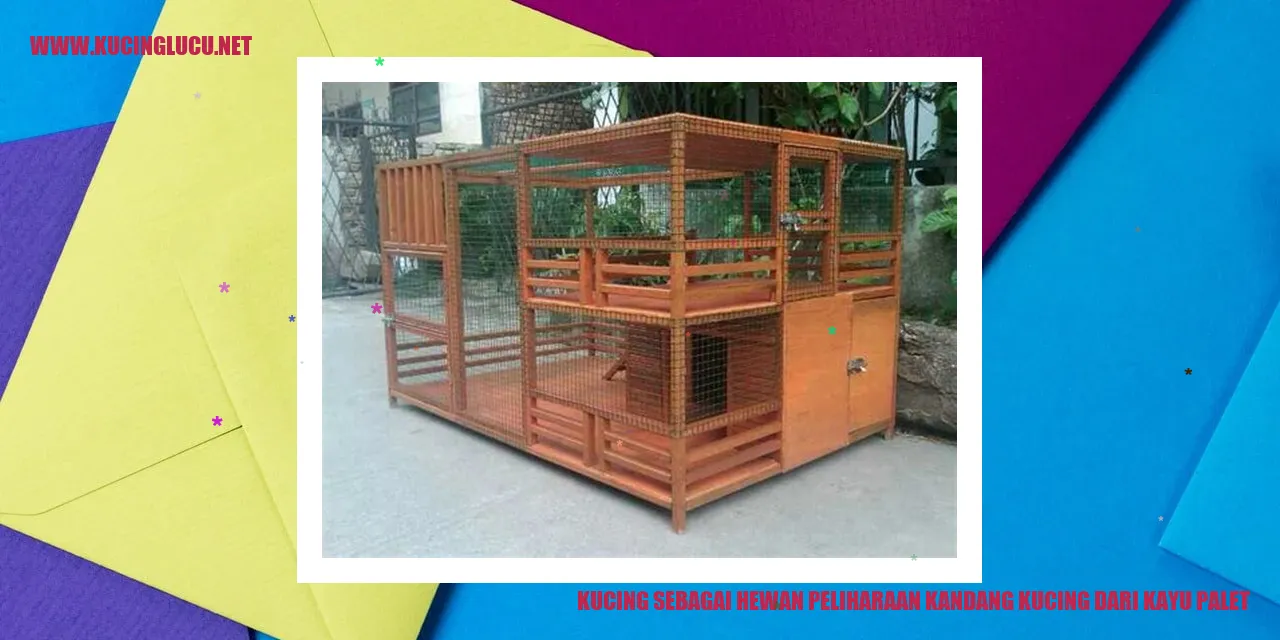Kucing dalam kandang kayu palet