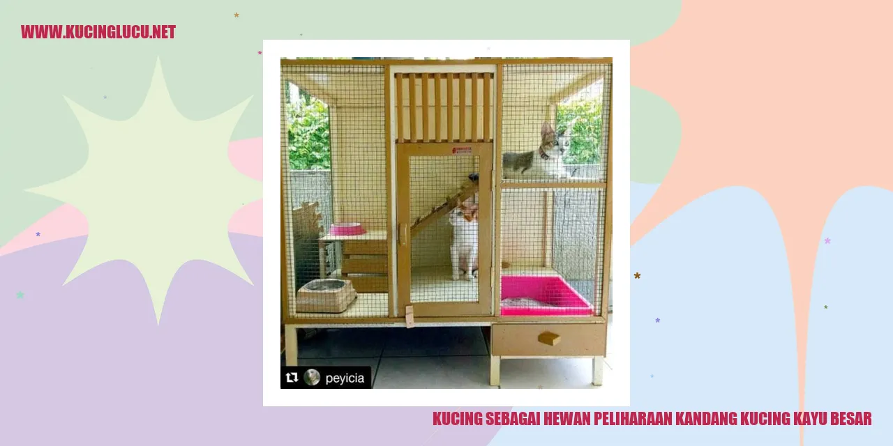 Kucing menggemaskan dalam kandang kayu besar