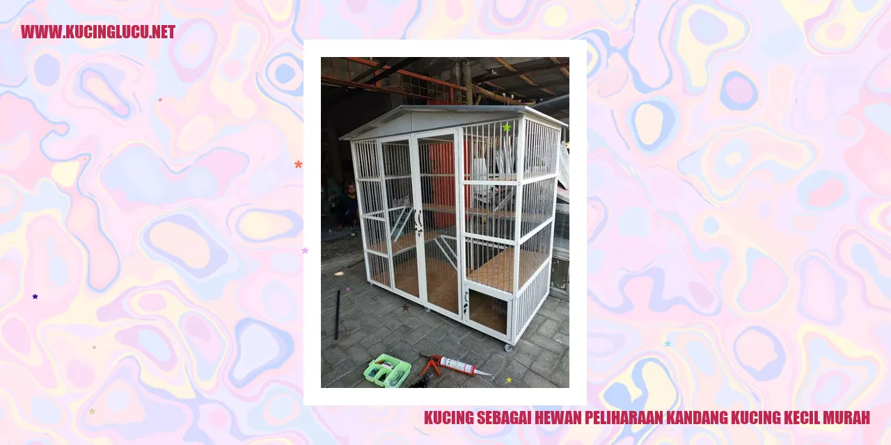 Kucing Sebagai Hewan Peliharaan