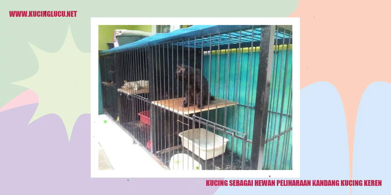 Kucing Peliharaan