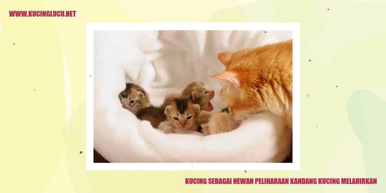 Kucing melahirkan
