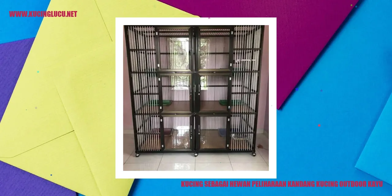 Kucing Outdoor Kayu