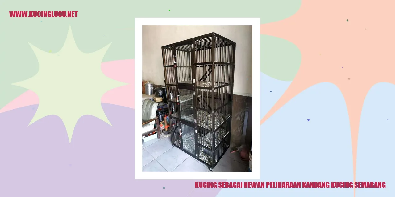 Kucing sebagai Hewan Peliharaan kandang kucing Semarang