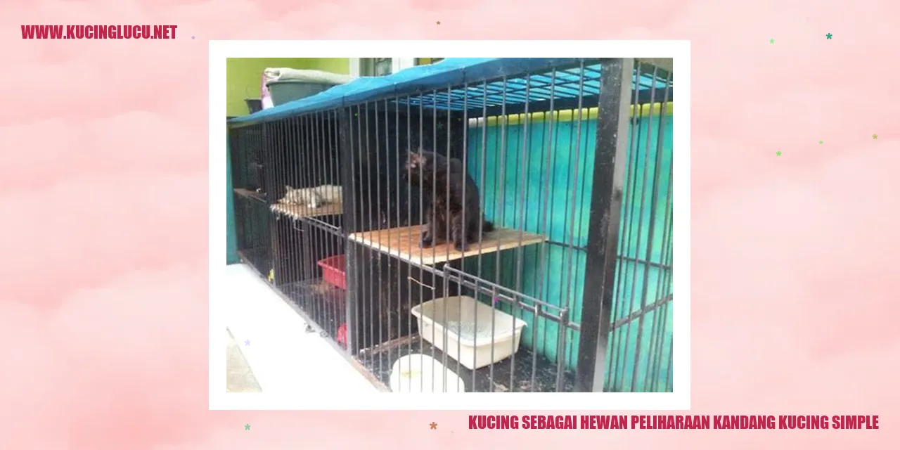 Gambar kucing