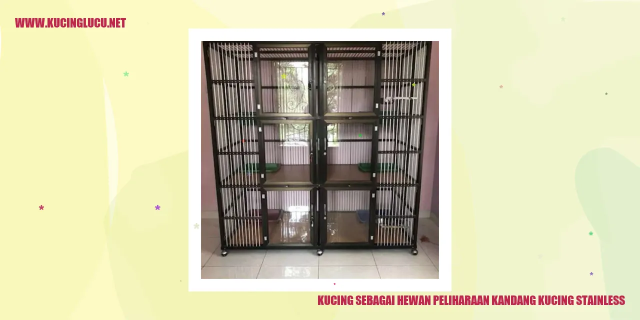 Kucing sebagai Hewan Peliharaan