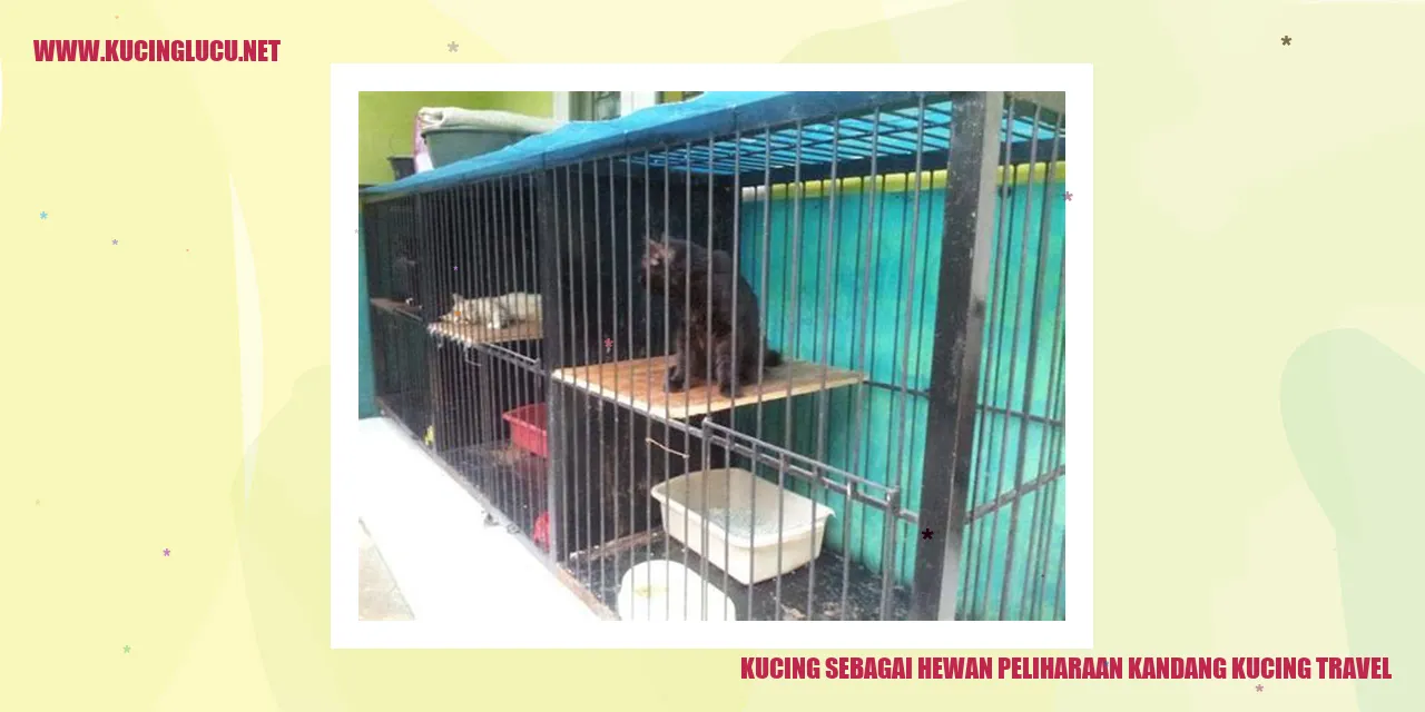 Gambar Kucing sebagai Hewan Peliharaan