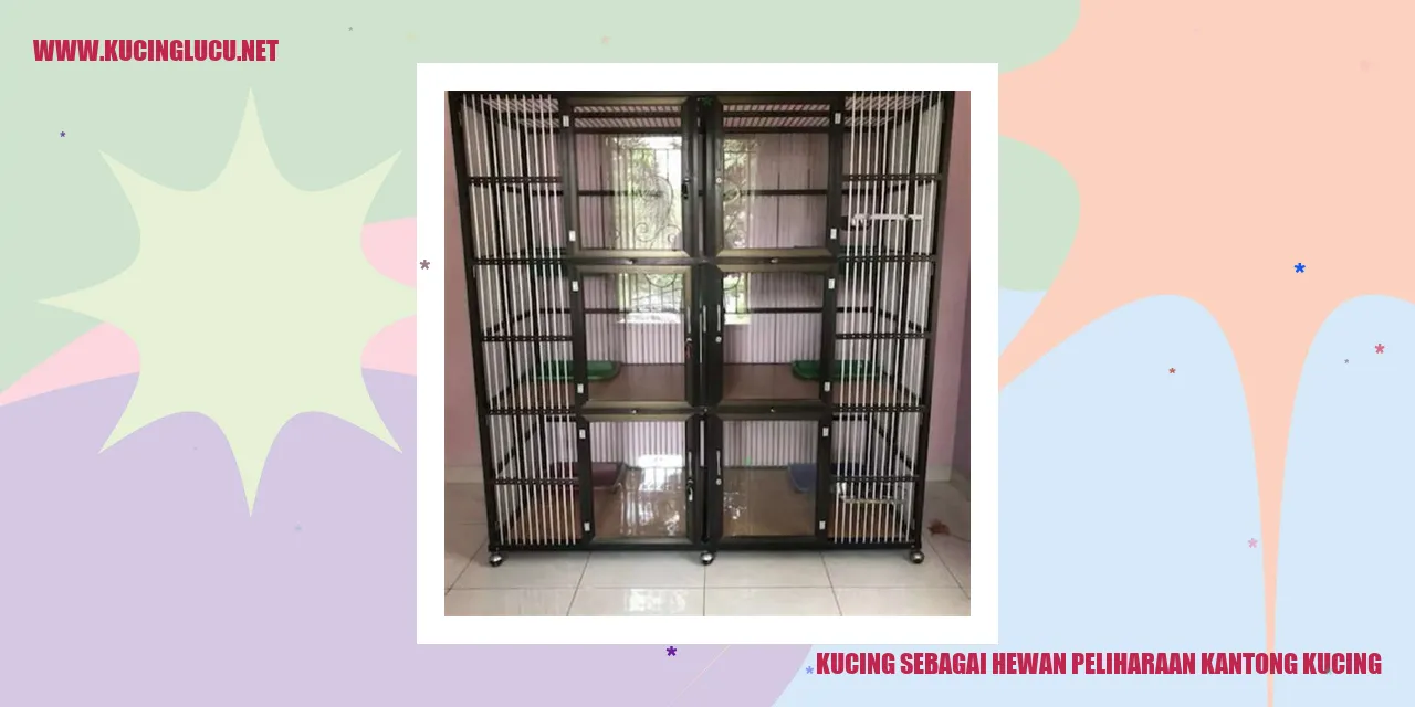 Kucing sebagai Hewan Peliharaan kantong kucing