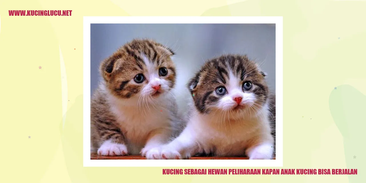 Sebuah gambar menampilkan bayi kucing berjalan di halaman