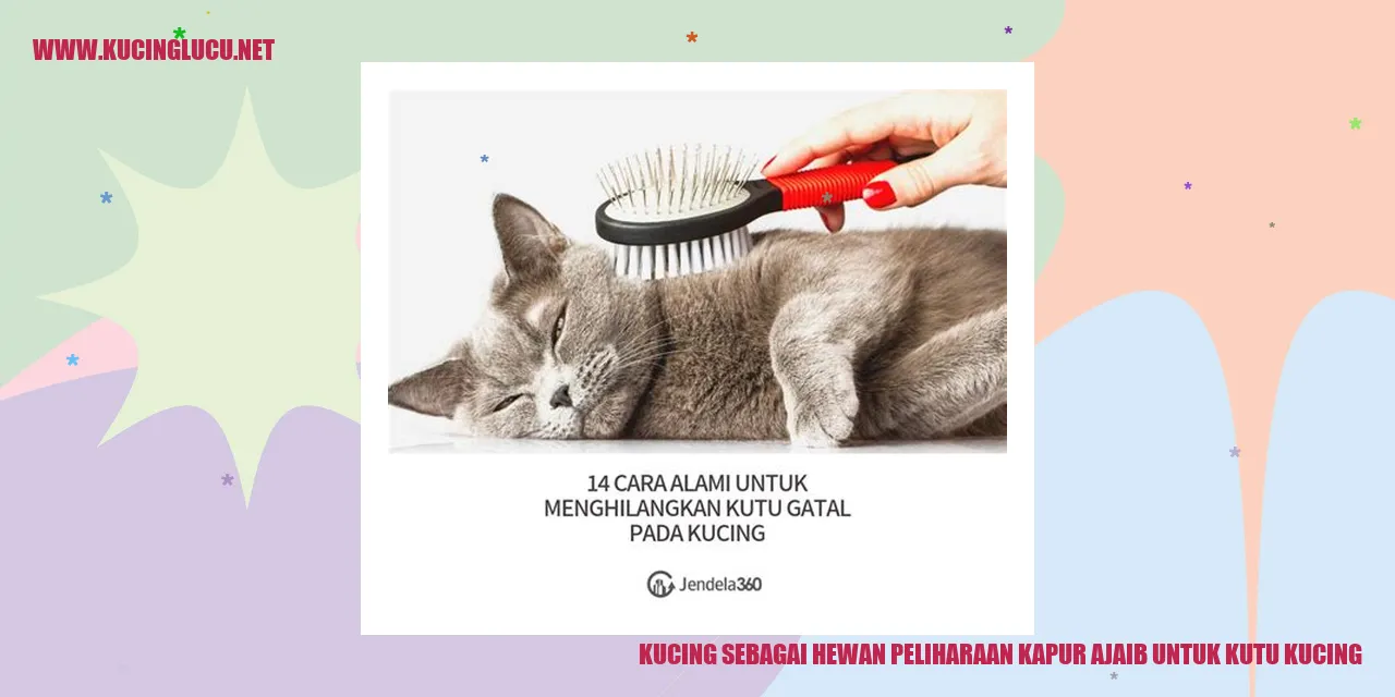 Kucing sebagai Hewan Peliharaan
