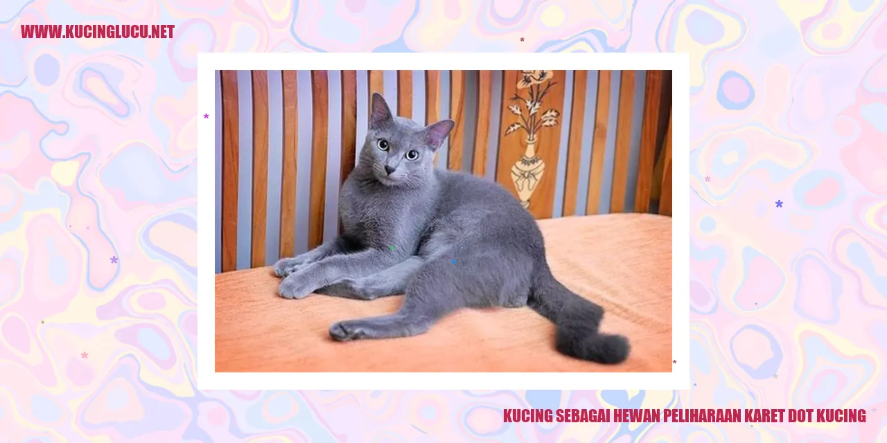 Kucing sebagai Hewan Peliharaan