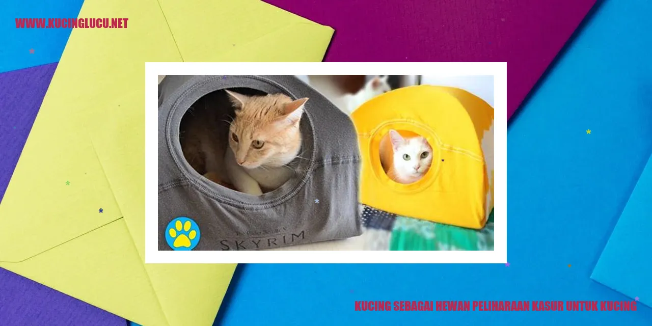 Gambar kucing tidur di kasur