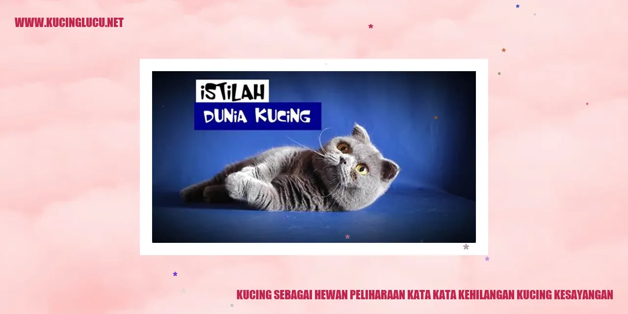 Gambar Kucing