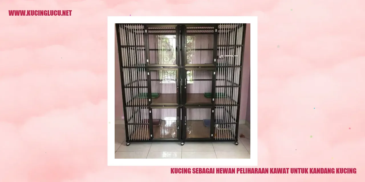 Gambar kucing