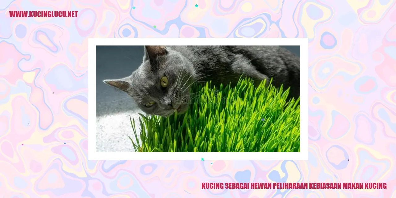 Gambar Kucing
